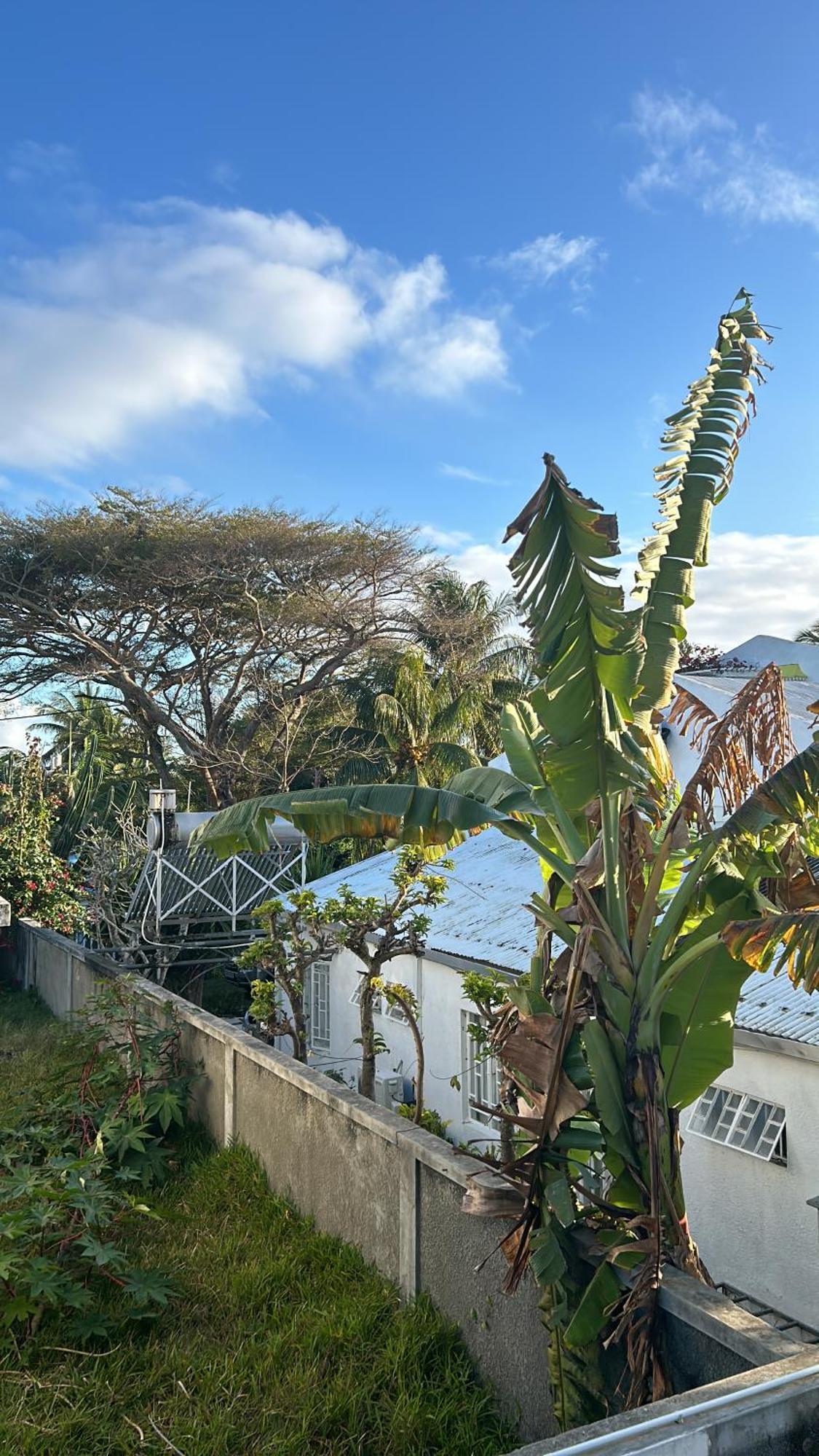 Coastal View Apartments Grand Bay Buitenkant foto